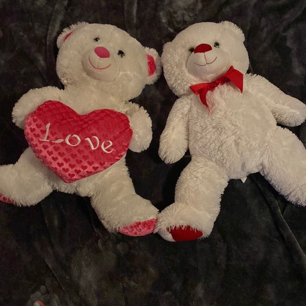 Valentine’s Teddy Bear Couple